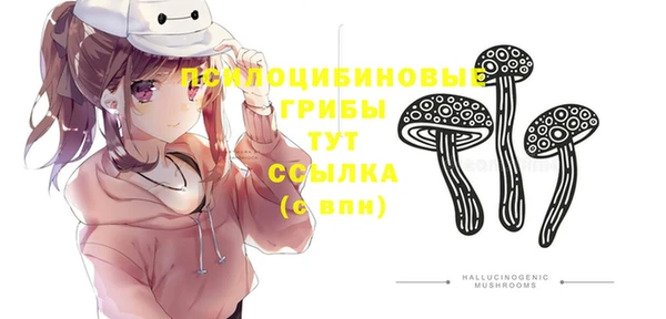 марки lsd Каменка