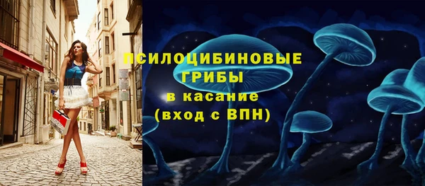 марки lsd Каменка