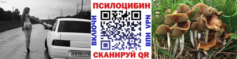 Купить  Дальнереченск  Псилоцибиновые грибы мицелий 
